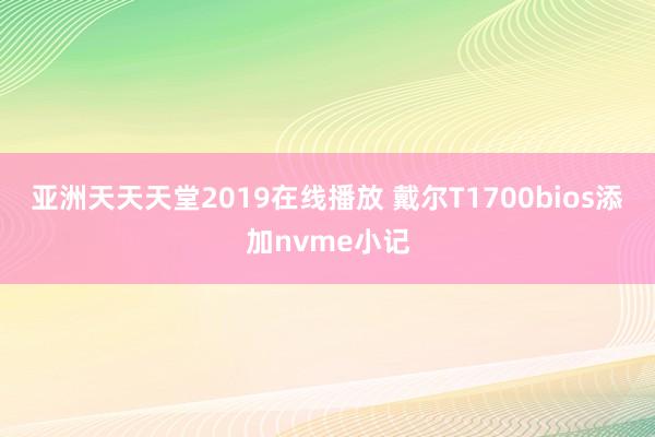 亚洲天天天堂2019在线播放 戴尔T1700bios添加nvme小记